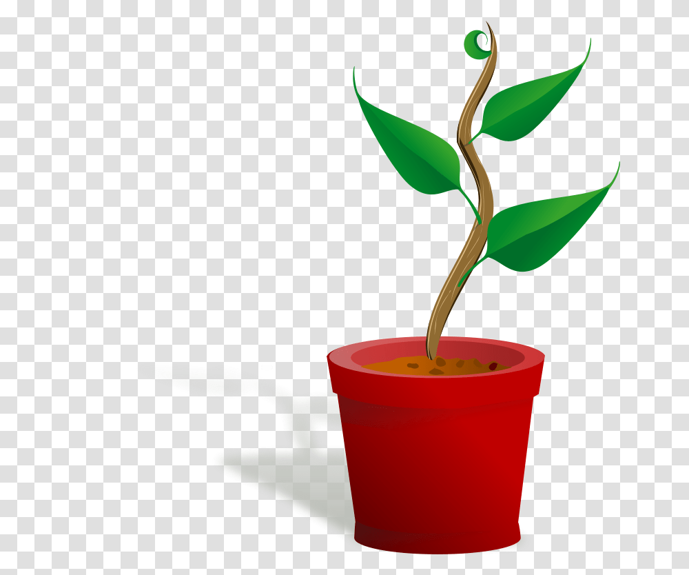 Free Clipart Plant Growing, Leaf, Sprout, Flower, Blossom Transparent Png