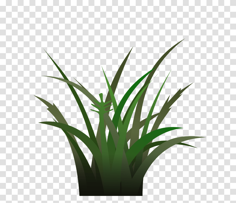 Free Clipart, Plant, Produce, Food, Vegetable Transparent Png