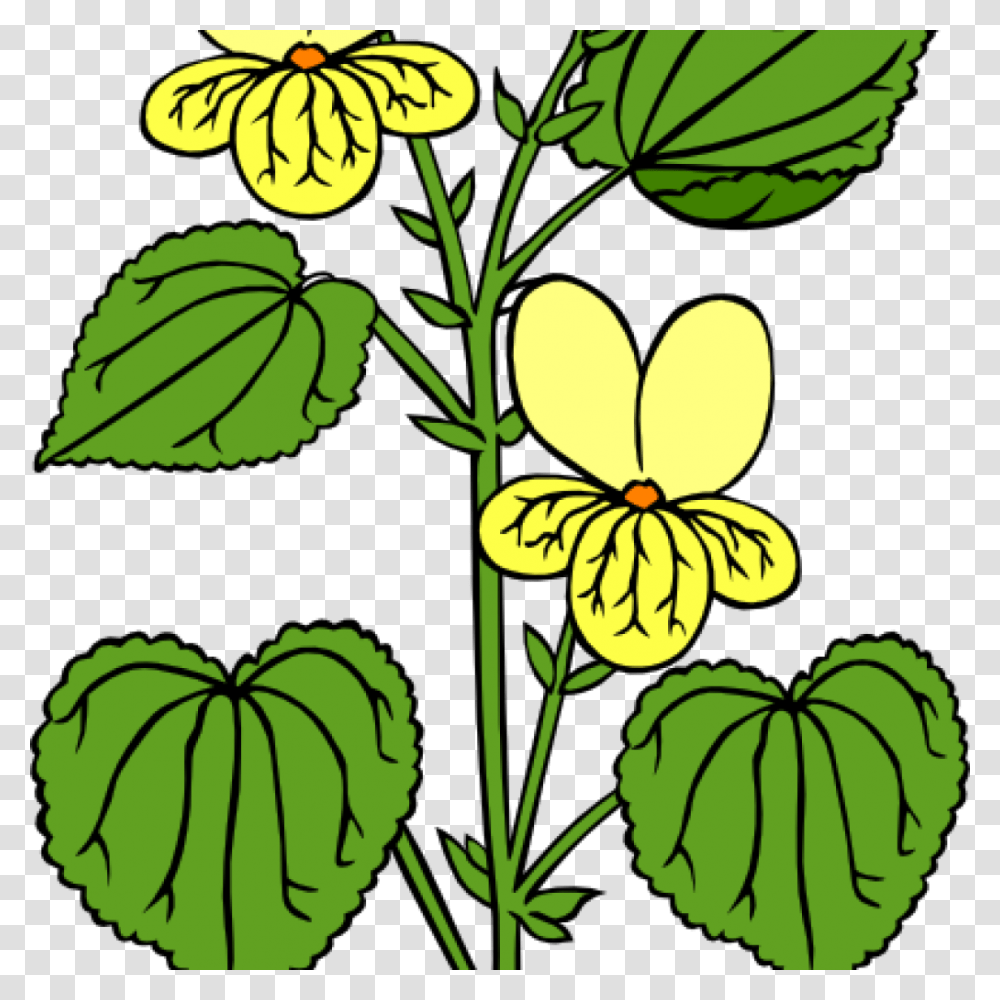 Free Clipart Plants Free Clipart Download, Leaf, Flower, Petal, Green Transparent Png