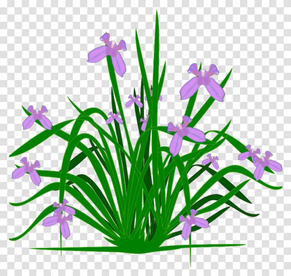 Free Clipart Plants Free Clipart Plants Plants Clip Flower Small Plants Clipart, Blossom, Iris, Amaryllidaceae, Daffodil Transparent Png