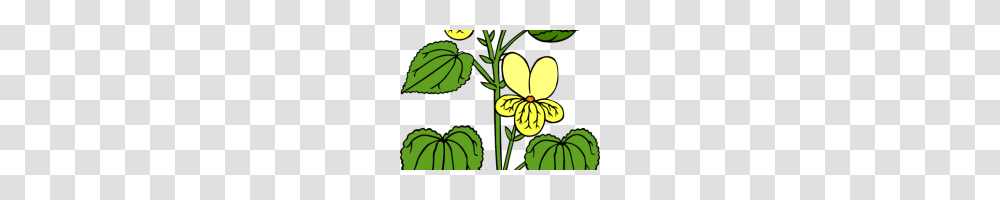 Free Clipart Plants Plants Clip Art Free, Flower, Green, Leaf, Petal Transparent Png
