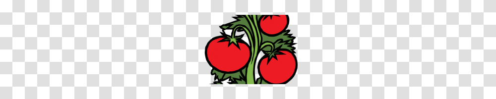 Free Clipart Plants Tomato Plant Clip Art Free Vector Clipart Best, Food, Fruit, Vegetable Transparent Png