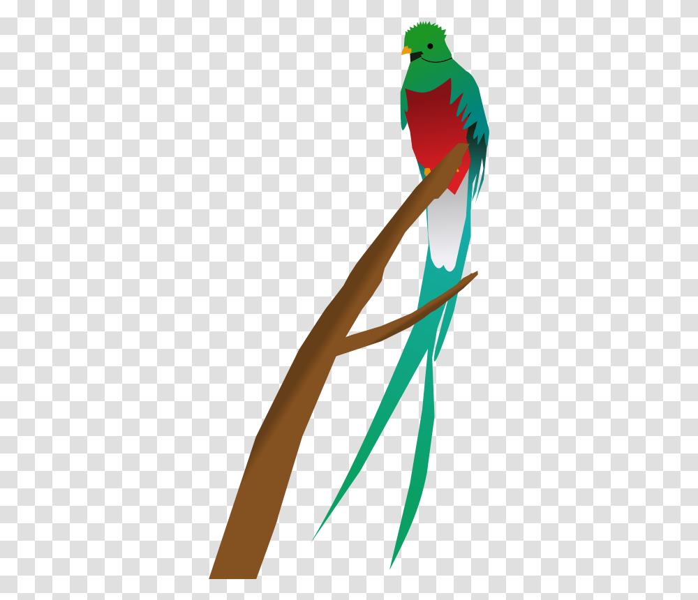 Free Clipart Quetzal Cyberscooty, Bird, Animal, Oars, Wand Transparent Png