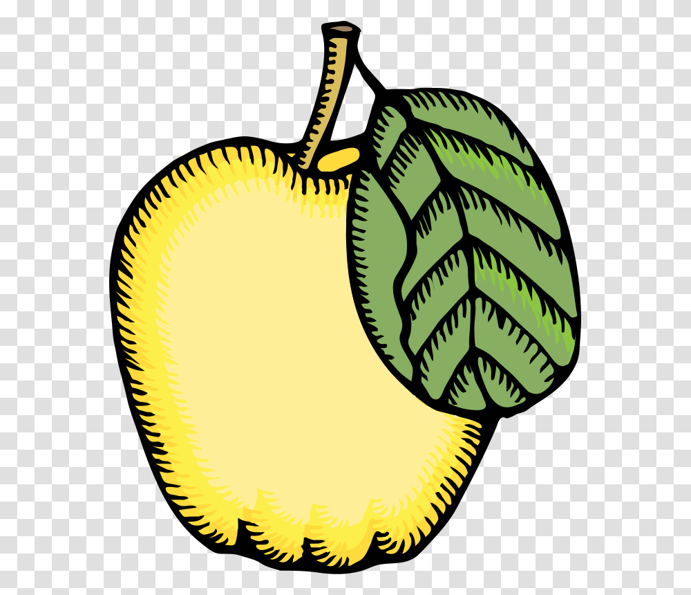 Free Clipart Quince Johnny Automatic, Plant, Produce, Food, Grain Transparent Png