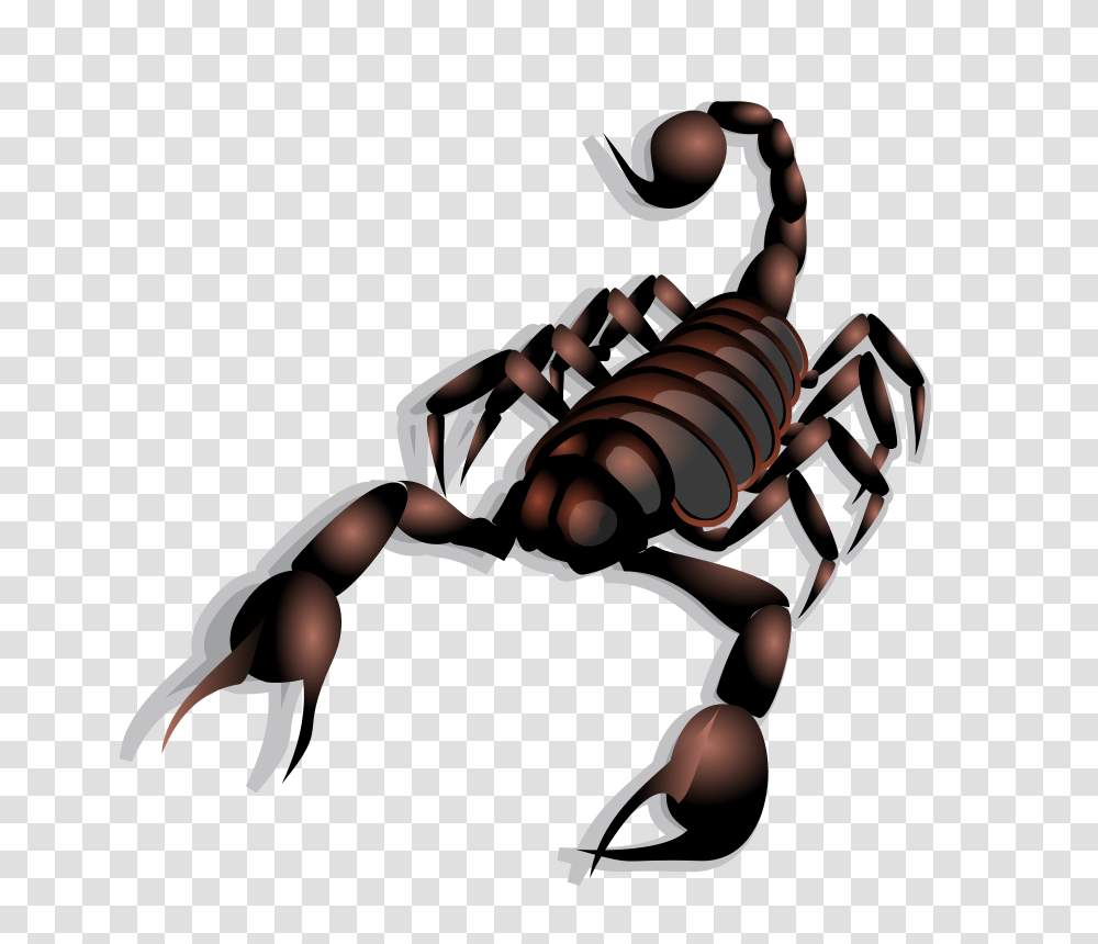 Free Clipart Scorpion Anonymous, Invertebrate, Animal, Person, Human Transparent Png