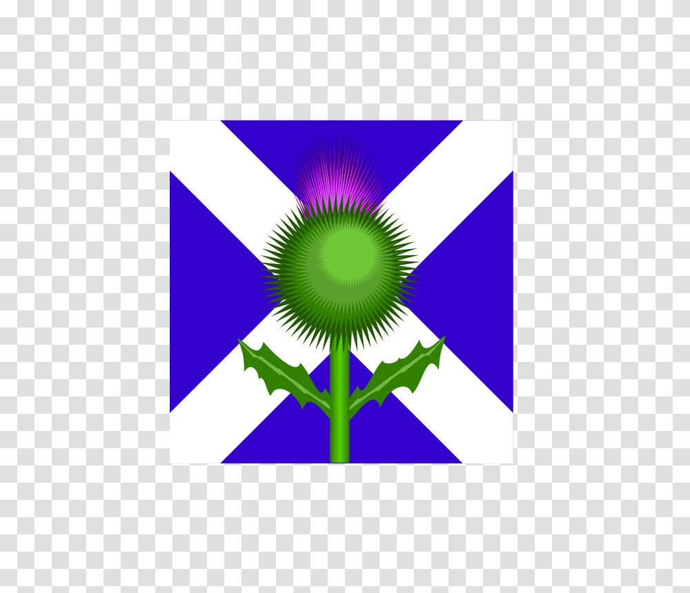 Free Clipart Scottish Thistle And Flag Kevie, Plant, American Flag, Flower Transparent Png