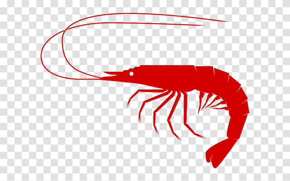 Free Clipart, Sea Life, Animal, Food, Seafood Transparent Png