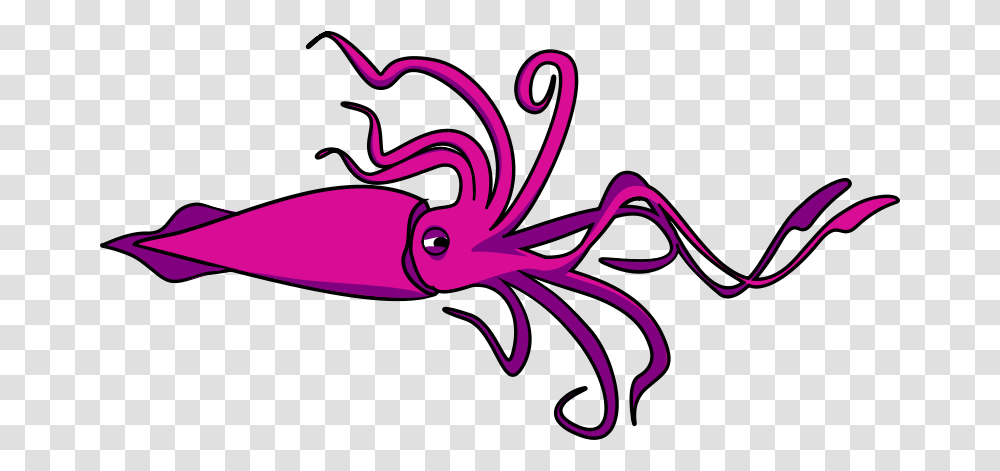 Free Clipart, Seafood, Sea Life, Animal, Squid Transparent Png