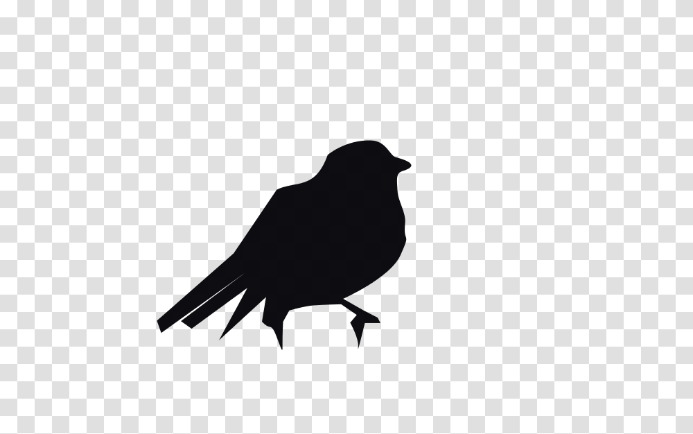 Free Clipart, Silhouette, Bird, Animal, Blackbird Transparent Png