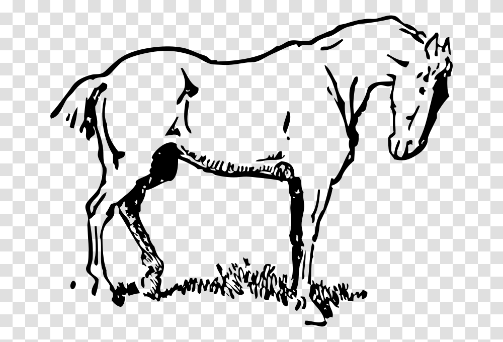 Free Clipart Small Eyed Horse Johnny Automatic, Gray, World Of Warcraft Transparent Png