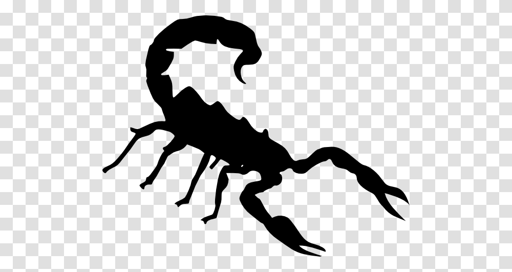 Free Clipart, Stencil, Scorpion, Invertebrate, Animal Transparent Png