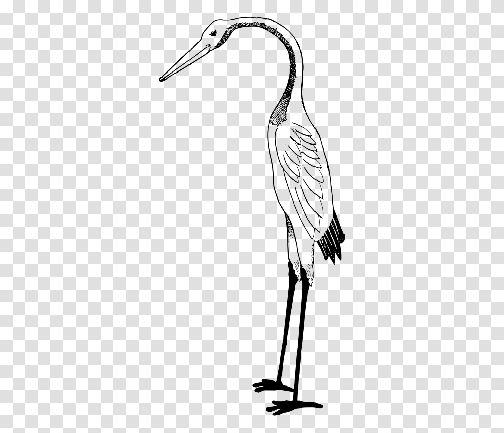 Free Clipart Stork, Gray, World Of Warcraft Transparent Png