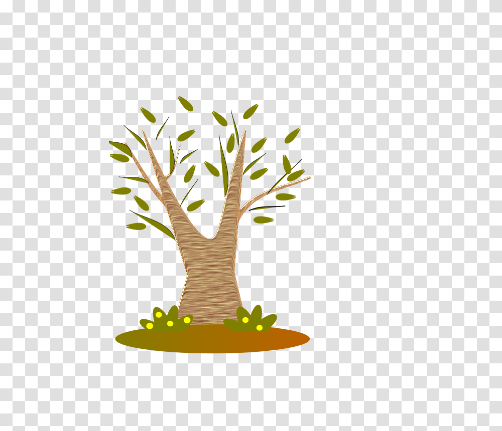 Free Clipart Tree Spevi, Plant, Bird, Animal, Palm Tree Transparent Png