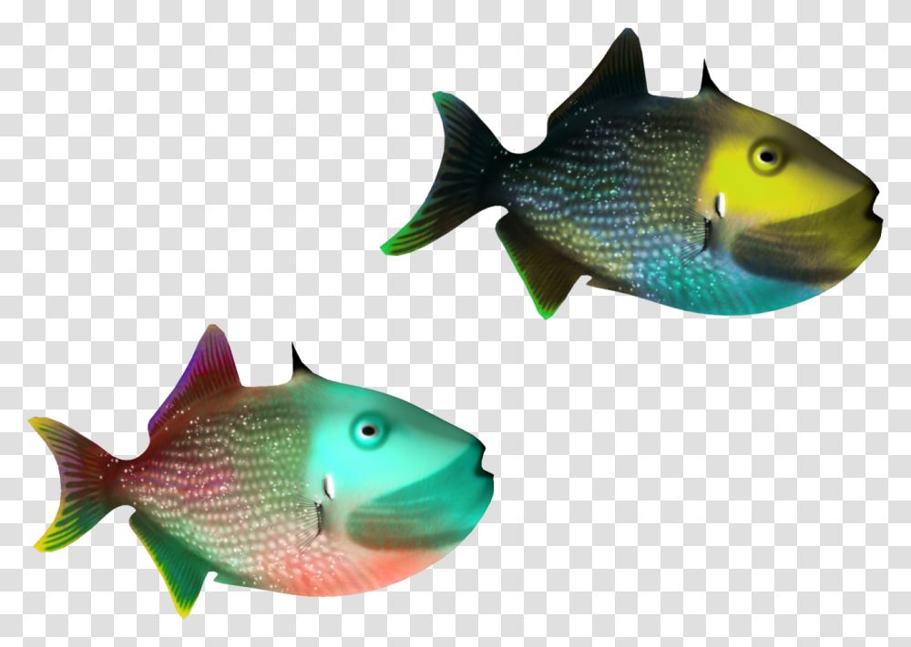 Free Clipart Tropical Fish Svg Royalty Free Stock Photography Terumbu Karang, Animal, Angelfish, Sea Life, Amphiprion Transparent Png
