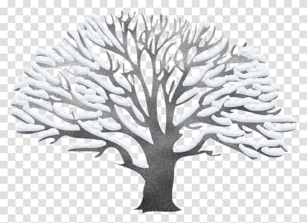 Free Clipart Winter Tree Vector Stock Winter Winter Tree Clipart, Plant, Rug, Flower Transparent Png