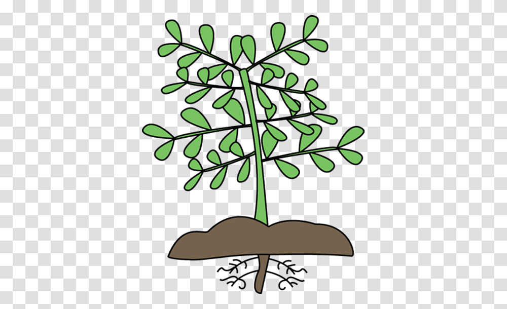 Free Cliparts Plants, Leaf, Green, Tree, Flower Transparent Png