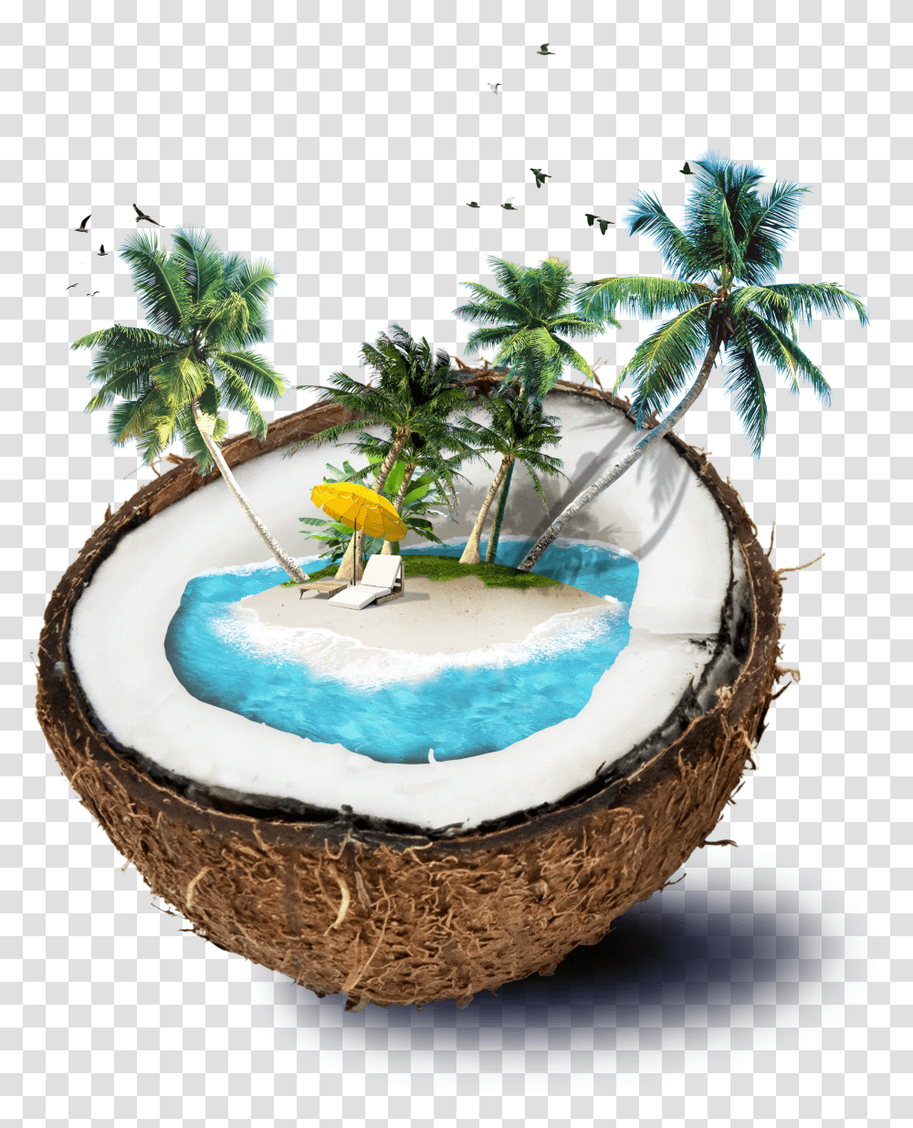 Free Coconut Konfest Coconut Tree Psd Free Download Transparent Png