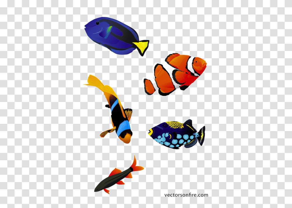 Free Colorful Aquarium Fish, Amphiprion, Sea Life, Animal, Angelfish Transparent Png