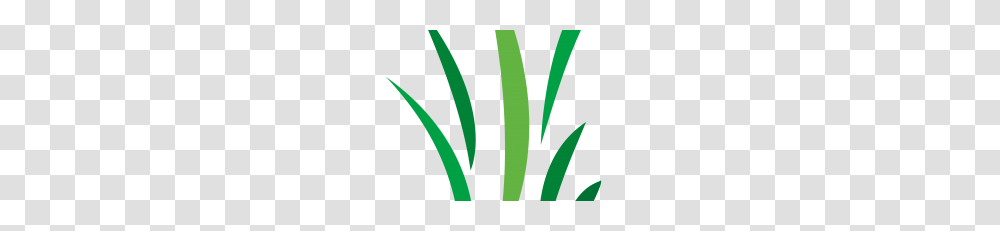 Free Cool Vector Designs Archives, Leaf, Plant, Aloe, Tree Transparent Png