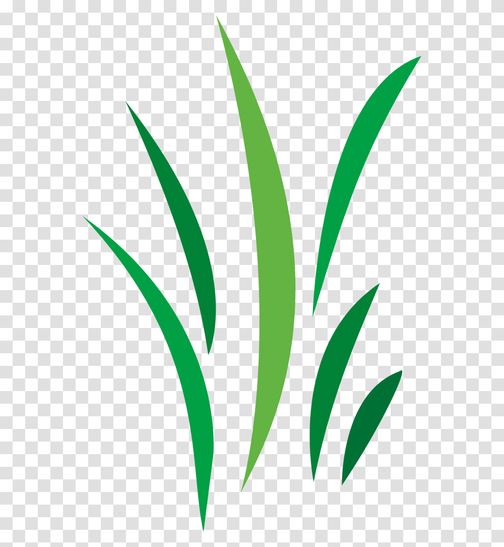 Free Cool Vector Designs, Plant, Leaf, Tree Transparent Png