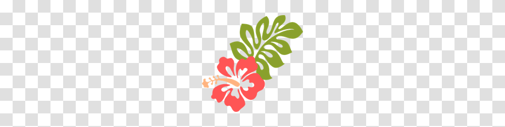 Free Coral Clipart Coral Icons, Plant, Hibiscus, Flower, Blossom Transparent Png