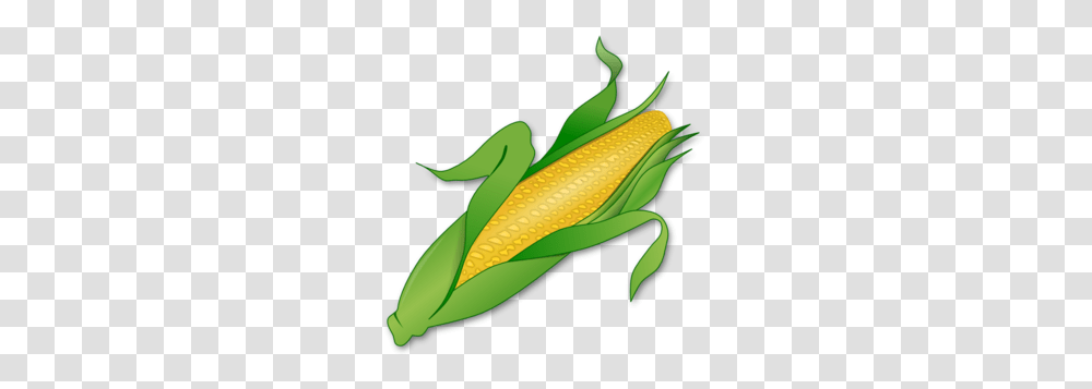 Free Corn Clipart Pictures, Plant, Vegetable, Food Transparent Png