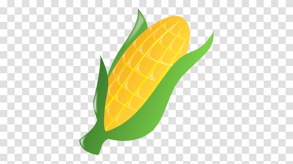 Free Corn Vector Art, Plant, Tennis Ball, Sport, Sports Transparent Png