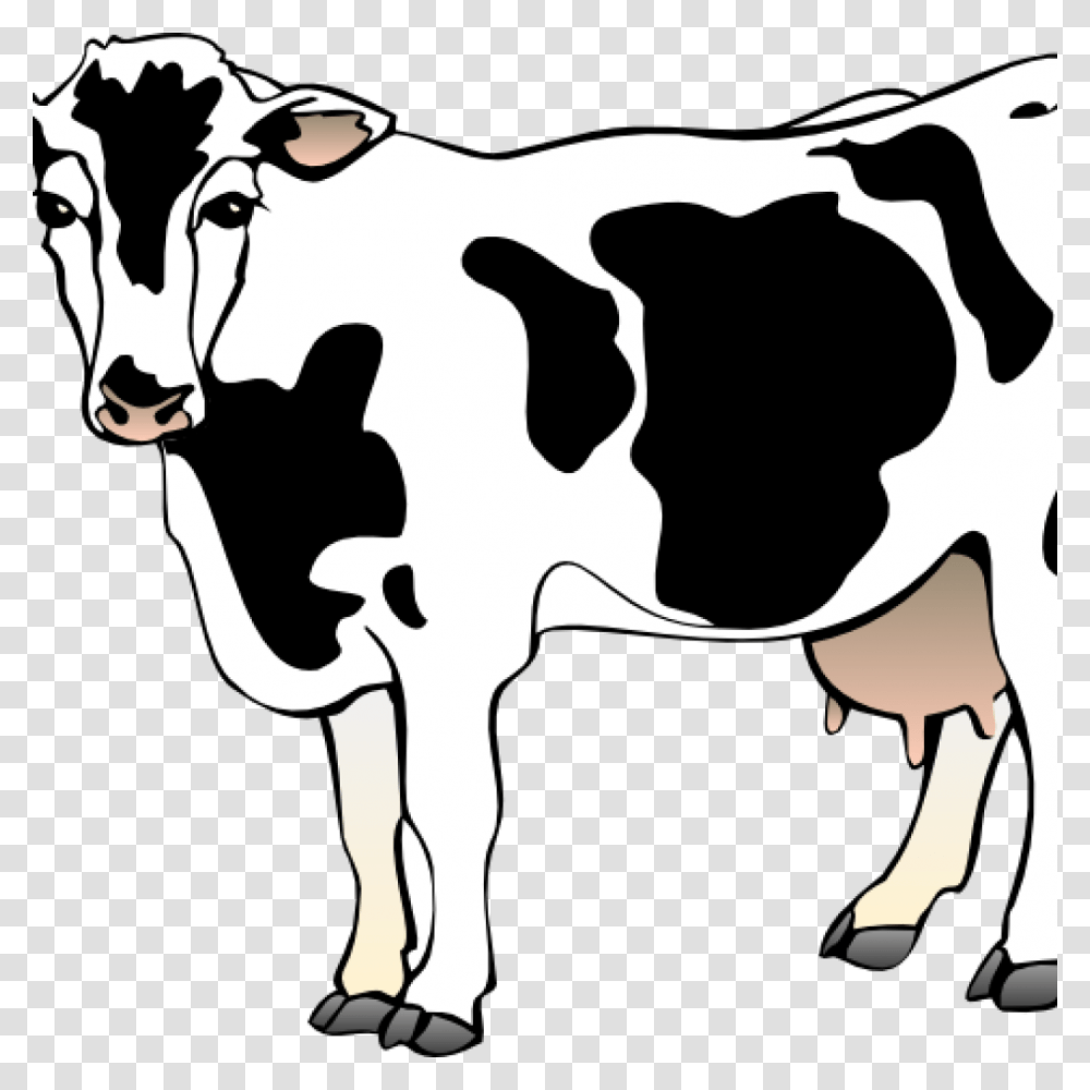 Free Cow Clipart Cow Clipart Cow 11 Clip Art Vector Cow Clipart Background, Cattle, Mammal, Animal, Dairy Cow Transparent Png
