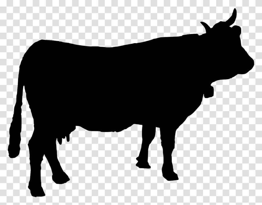 Free Cow Silhouette Vector, Bull, Mammal, Animal, Angus Transparent Png