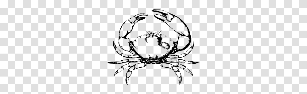 Free Crab Clipart Crab Icons, Flare, Light, Outdoors, Astronomy Transparent Png