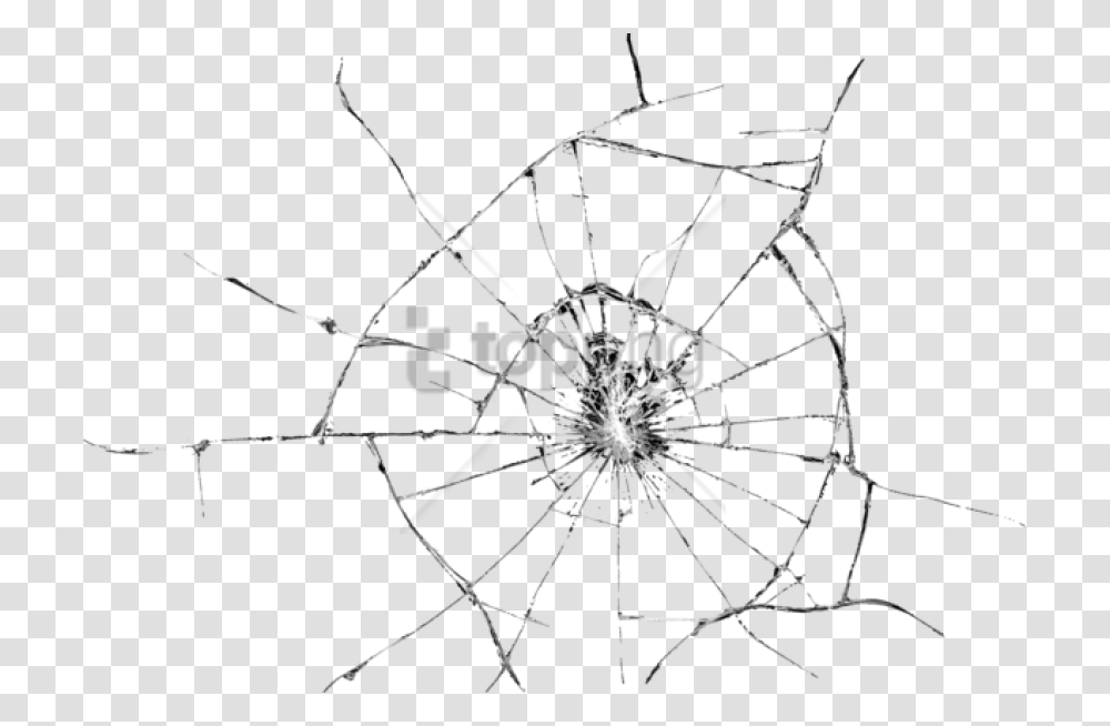 Free Cracked Glass Image With, Spider, Invertebrate, Animal, Arachnid Transparent Png