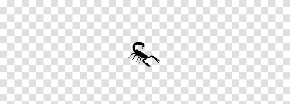 Free Crayfish Clip Art, Silhouette, Stencil, Scorpion Transparent Png