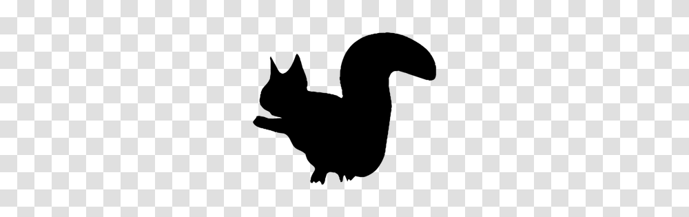 Free Crazy Squirrel Clip Art, Gray, World Of Warcraft Transparent Png