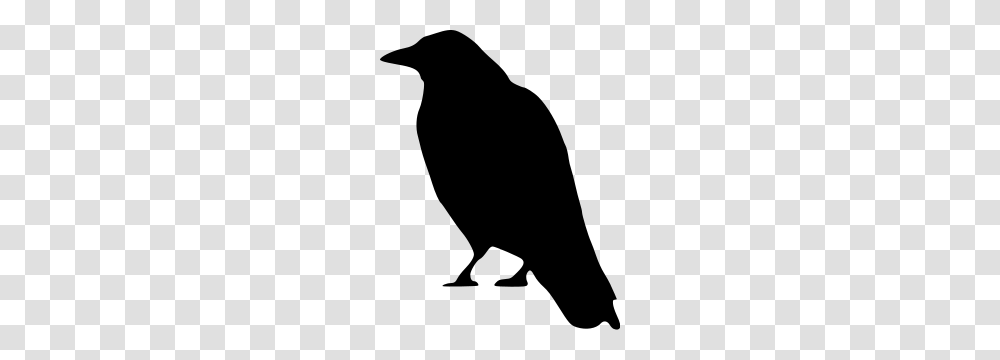 Free Crow Clipart Crow Icons, Gray, World Of Warcraft Transparent Png