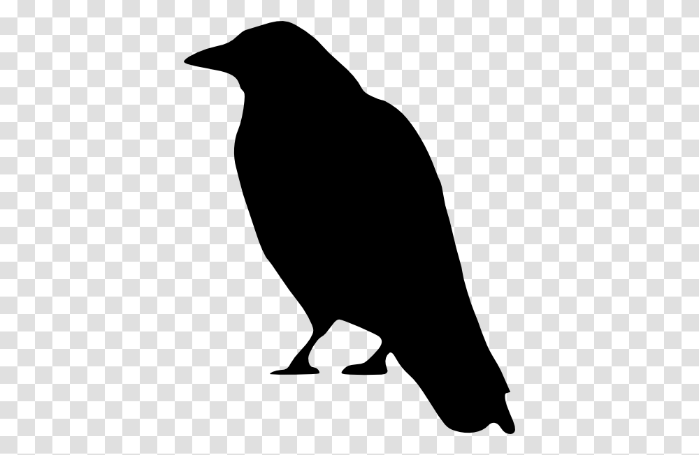 Free Crow Patterns Crow Standing Clip Art, Silhouette, Bird, Animal, Blackbird Transparent Png