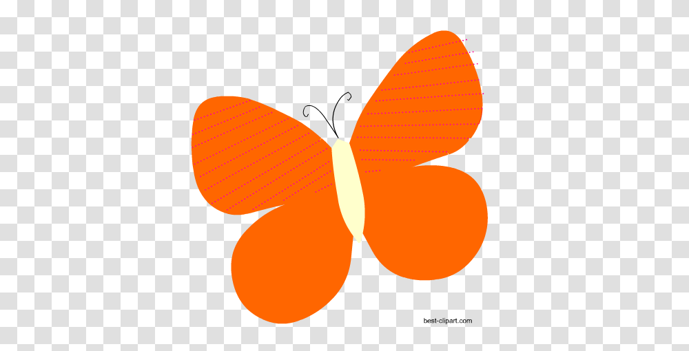 Free Cute Butterfly Clip Art Graphics, Animal, Pattern, Insect, Invertebrate Transparent Png