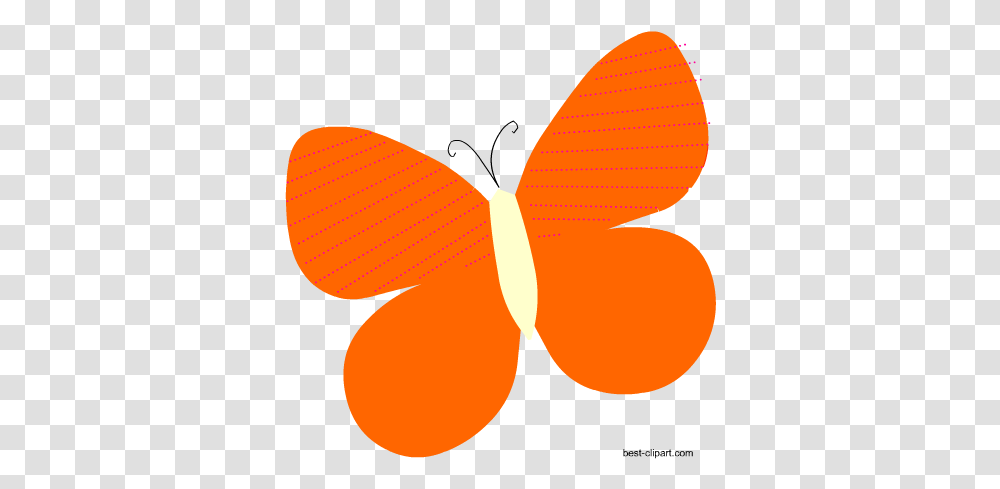 Free Cute Butterfly Clip Art Graphics Orange Butterfly Clip Art, Animal, Insect, Invertebrate, Pattern Transparent Png