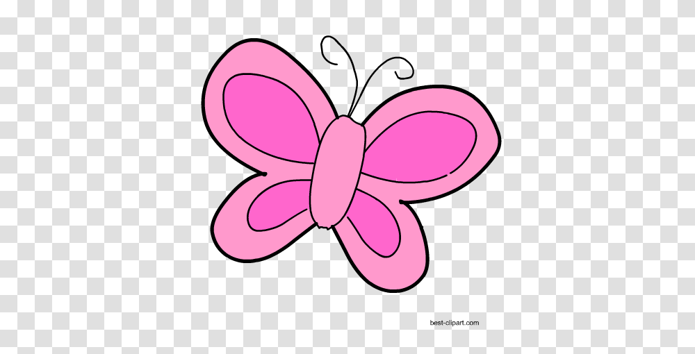 Free Cute Butterfly Clip Art Graphics, Tie, Accessories, Accessory, Necktie Transparent Png