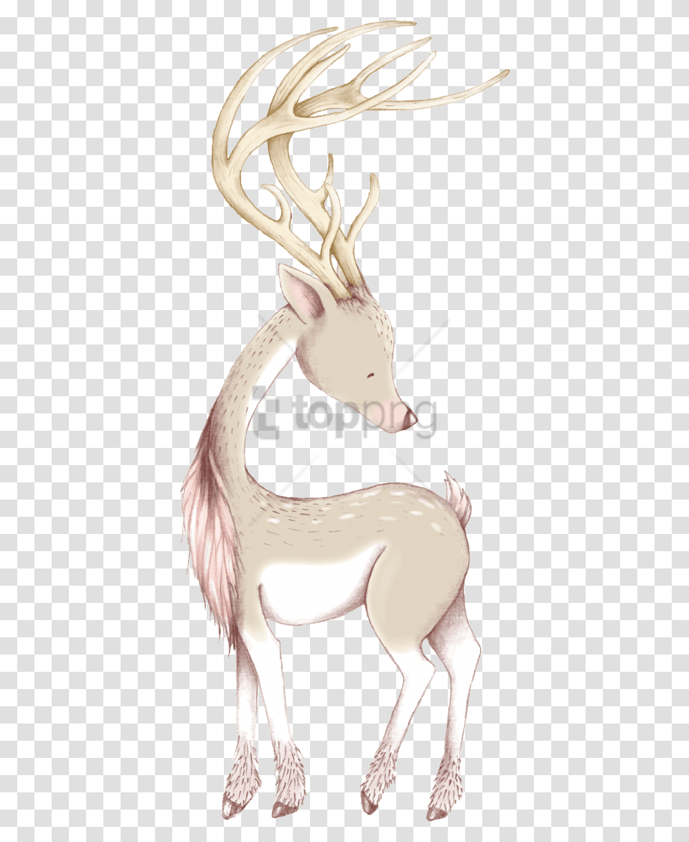 Free Cute Christmas Deer Ornaments Amp Oval Reindeer, Mammal, Animal, Wildlife, Aardvark Transparent Png