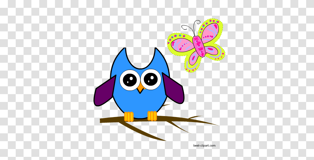 Free Cute Owl Clip Art Images Illstrations And Graphics, Animal, Bird, Floral Design, Pattern Transparent Png