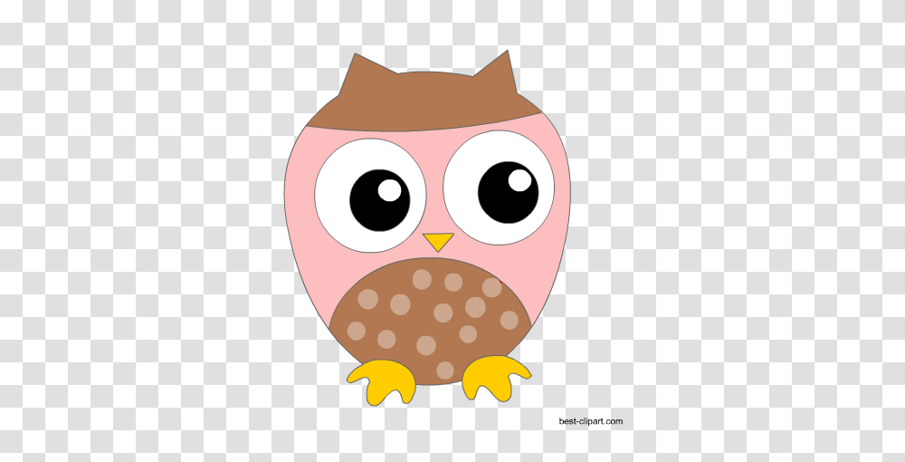 Free Cute Owl Clip Art Images Illstrations And Graphics, Animal, Food, Mammal Transparent Png