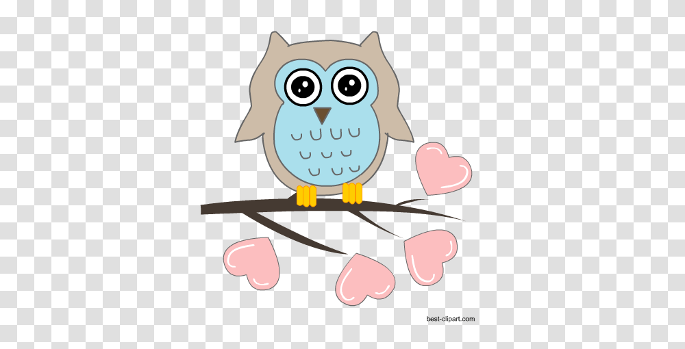 Free Cute Owl Clip Art Images Illstrations And Graphics, Face, Animal, Female Transparent Png