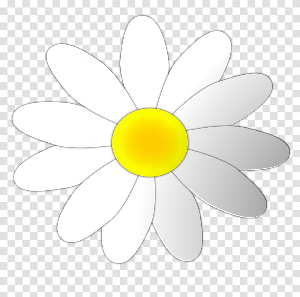 Free Daisy Flower Cliparts, Plant, Daisies, Blossom, Petal Transparent Png