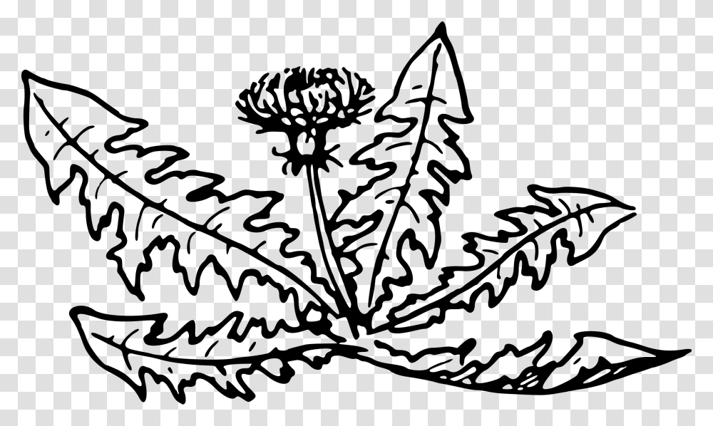 Free Dandelion Clip Art Black And White, Gray, World Of Warcraft Transparent Png
