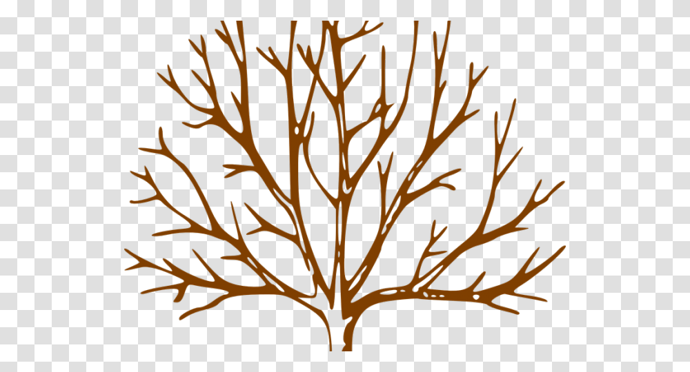 Free Dead Clipart Download, Nature, Pattern, Light, Outdoors Transparent Png