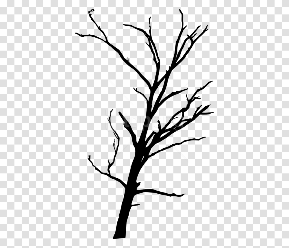 Free Dead Tree Silhouette Images Dead Trees Background, Plant, Stencil, Flower, Blossom Transparent Png
