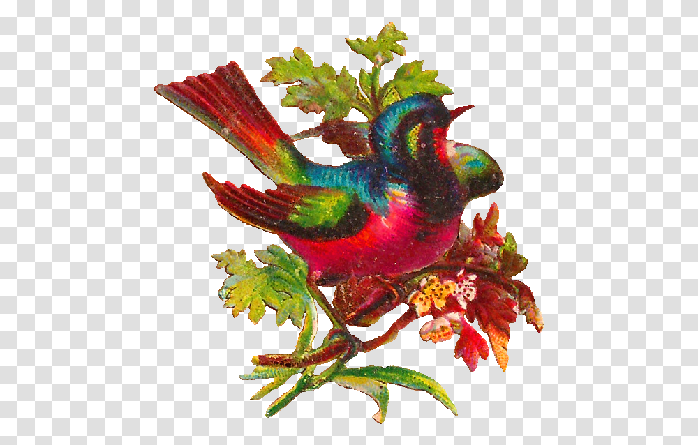 Free Digital Bird, Animal, Hummingbird, Dahlia, Flower Transparent Png