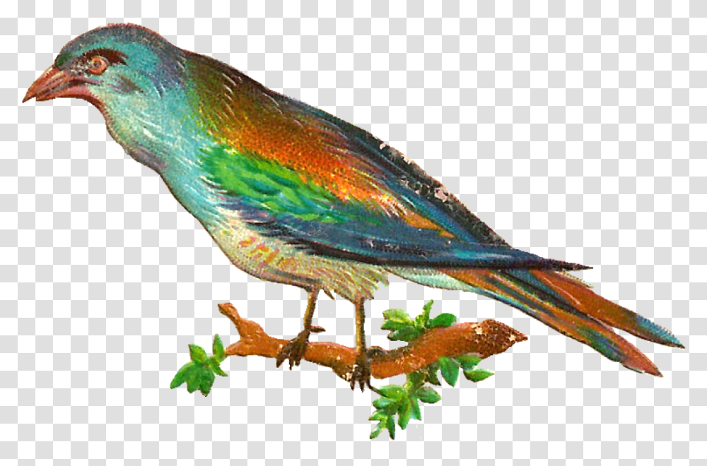 Free Digital Bird Clip Art Clip Art, Animal, Bluebird, Reptile, Parrot Transparent Png