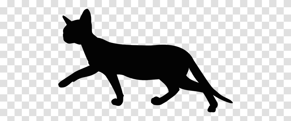 Free Digital Cat Silhouette, Animal, Wildlife, Reptile, Gecko Transparent Png