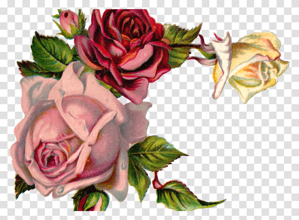 Free Digital Flower Pink Rose Corner Design Flower Rose Corner Design, Plant, Blossom, Flower Bouquet, Flower Arrangement Transparent Png